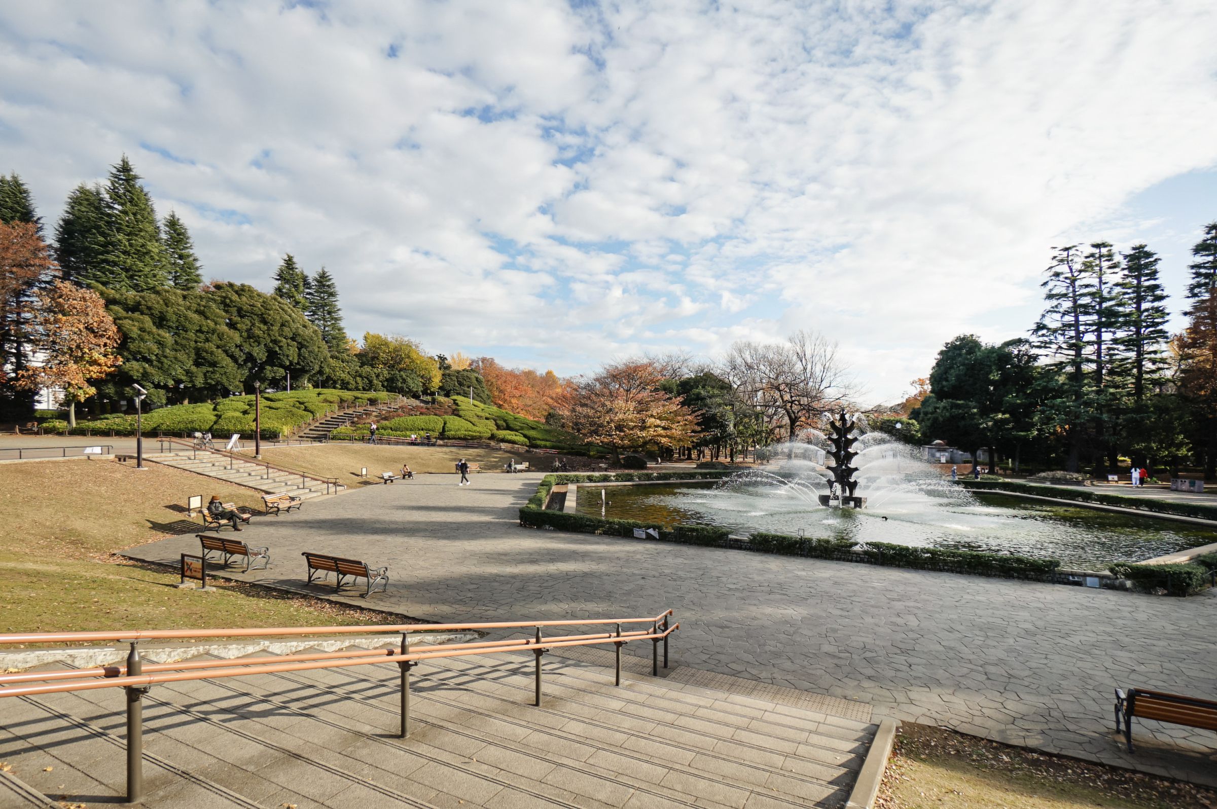 世田谷公園