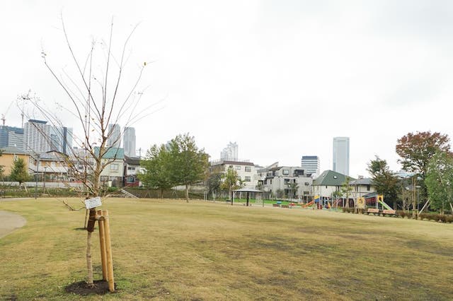 本二東郷やすらぎ公園