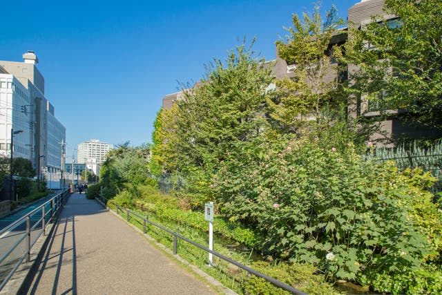 池尻大橋駅から徒歩1分。三軒茶屋方面まで続く、目黒川緑道