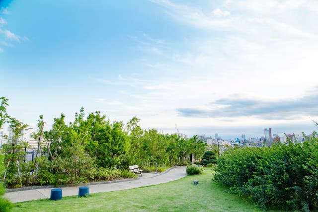 大橋ジャンクション隣接の目黒天空公園の緑