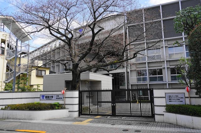 東海大学
