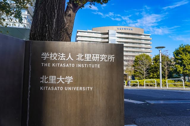 北里大学