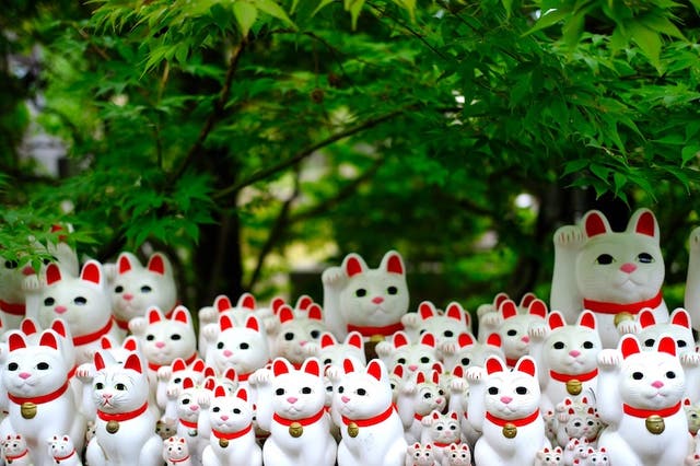 豪徳寺の招き猫